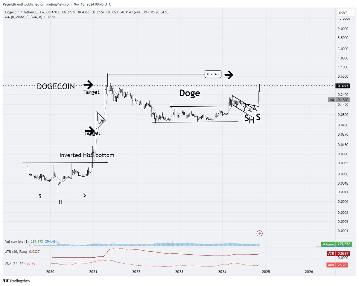 狗狗币(DOGE)价格剧烈波动:埃隆·马斯克诉讼撤回后的市场分析